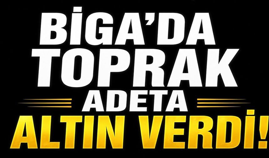 Biga'da toprak adeta altın verdi!