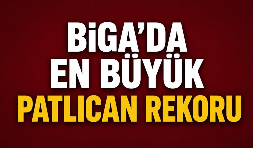 Biga'da en büyük patlıcan rekoru