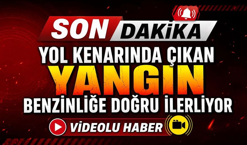 SON DAKİKA: Yol Kenarında Çıkan Yangın Benzinliğe Doğru İlerliyor