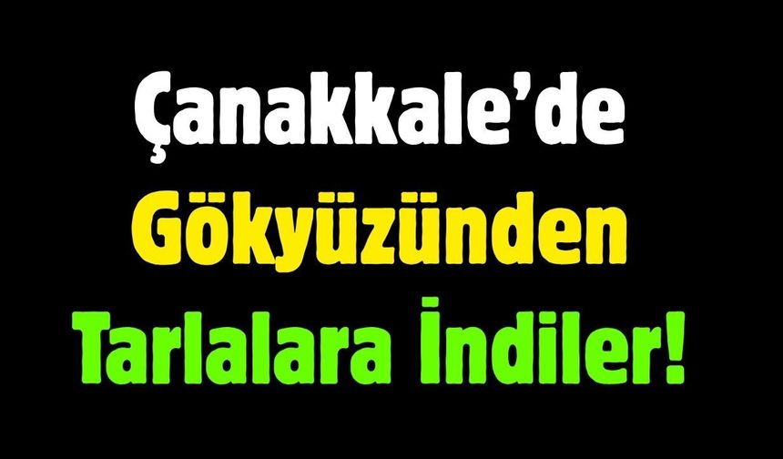 Çanakkale’de Gökyüzünden Tarlalara İndiler!