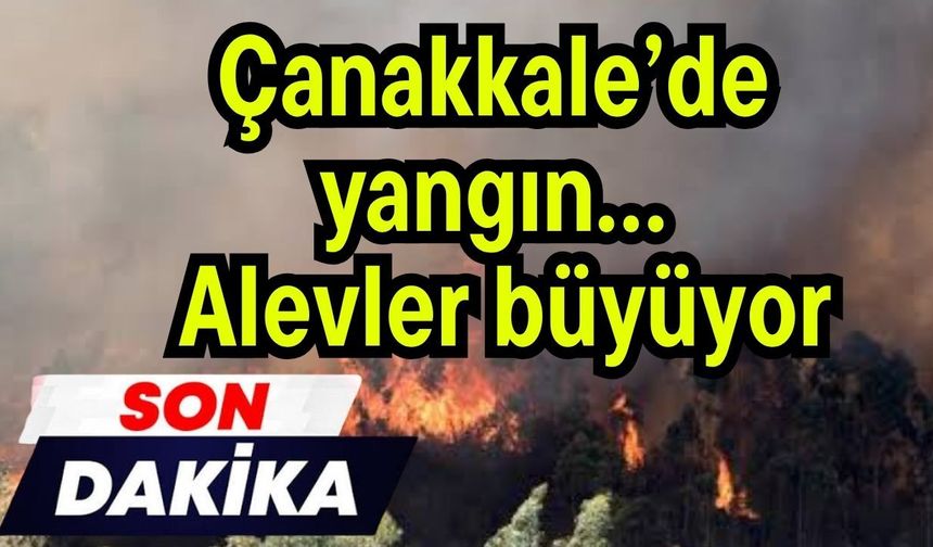 Çanakkale’de yangın… Alevler büyüyor