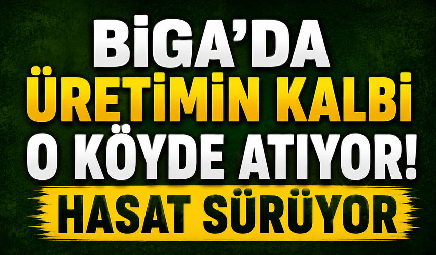 Biga’da üretimin kalbi o köyde atıyor! Hasat sürüyor