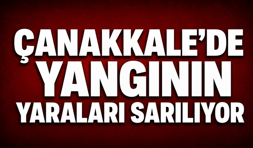 Çanakkale’de yangının yaraları sarılıyor