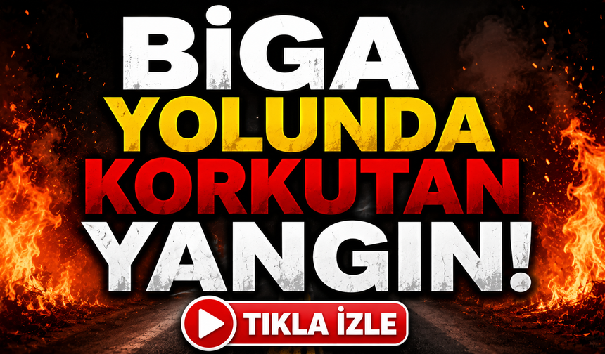 Biga yolunda korkutan yangın!