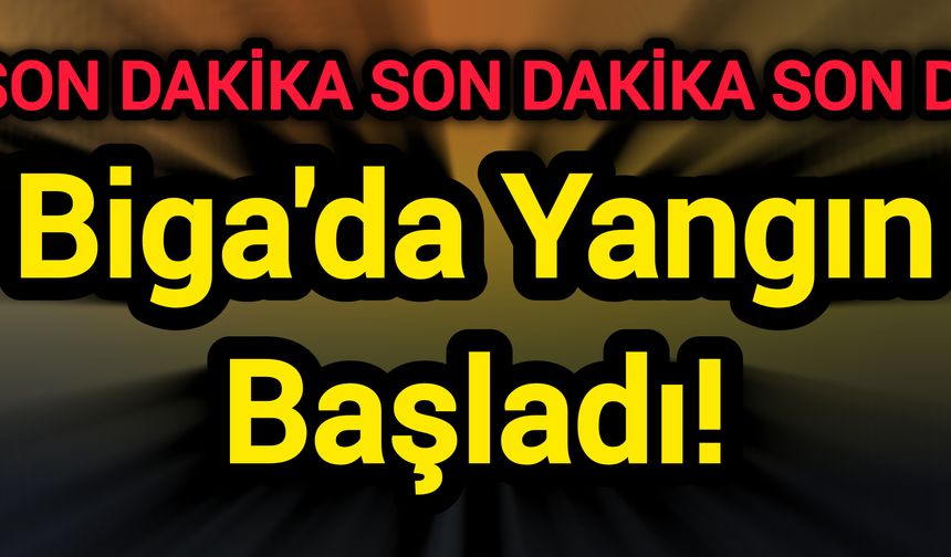 Biga'da Yangın Başladı!