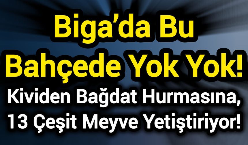 Biga’da Bu Bahçede Yok Yok! Kividen Bağdat Hurmasına, 13 Çeşit Meyve Yetiştiriyor!