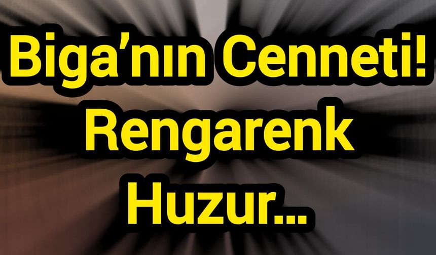 Biga’nın Cenneti! Rengarenk Huzur…