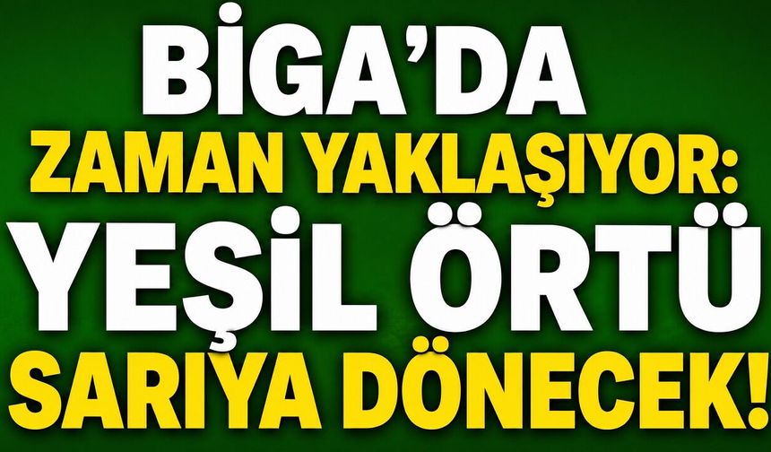 Biga’da zaman yaklaşıyor: Yeşil örtü sarıya dönecek!