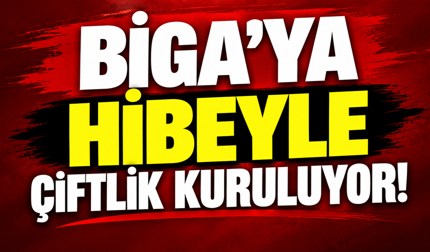 Biga’ya hibeyle çiftlik kuruluyor!