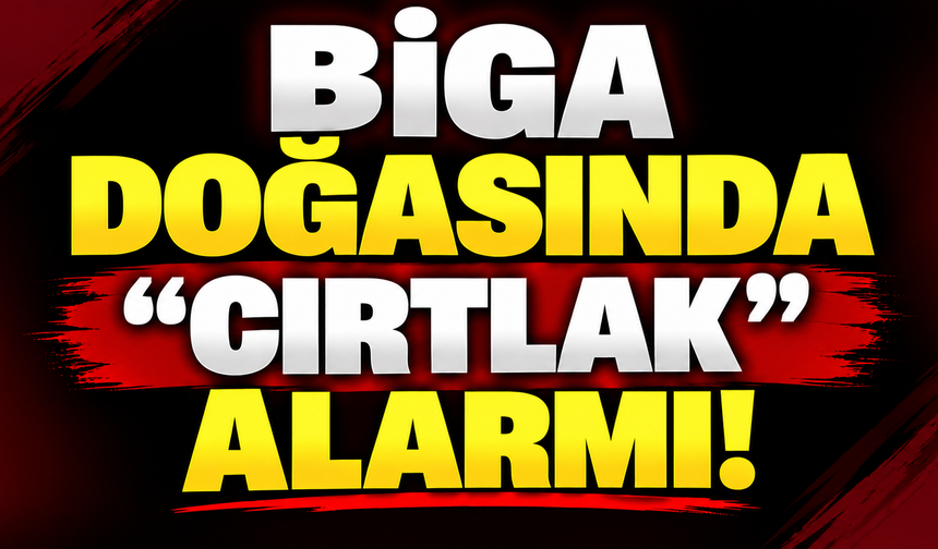 Biga doğasında "Cırtlak" alarmı!
