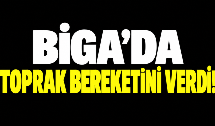 Biga’da toprak bereketini verdi!