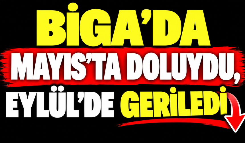 Biga’da Mayıs’ta doluydu, Eylül’de geriledi!