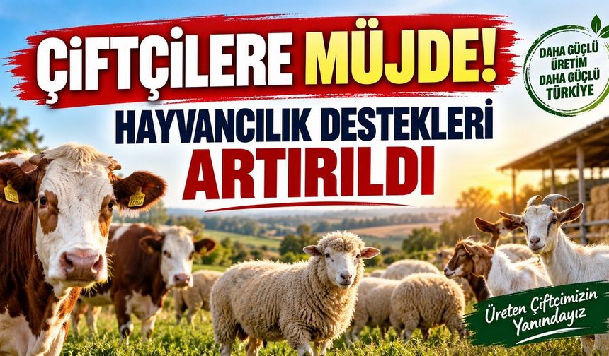 Çiftçilere Müjde! Hayvancılık Destekleri Artırıldı