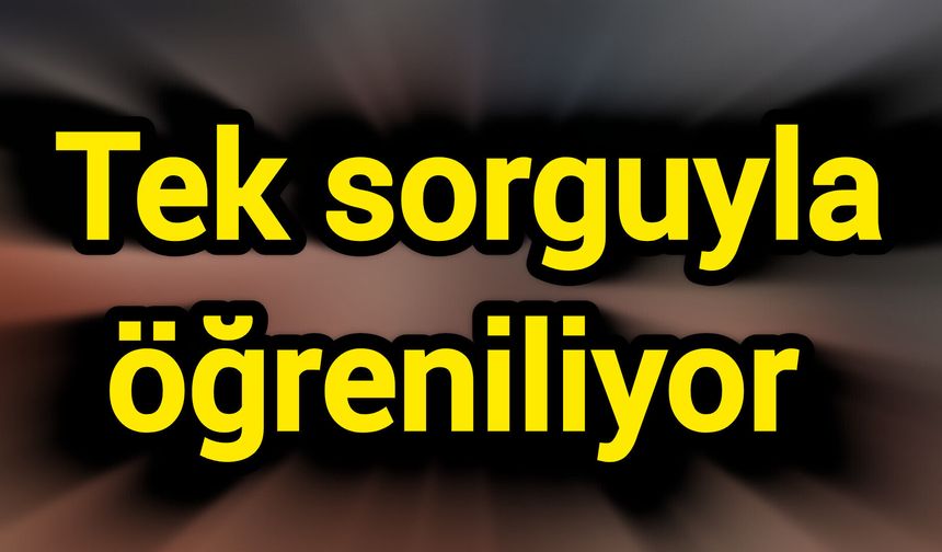 Tek sorguyla öğreniliyor