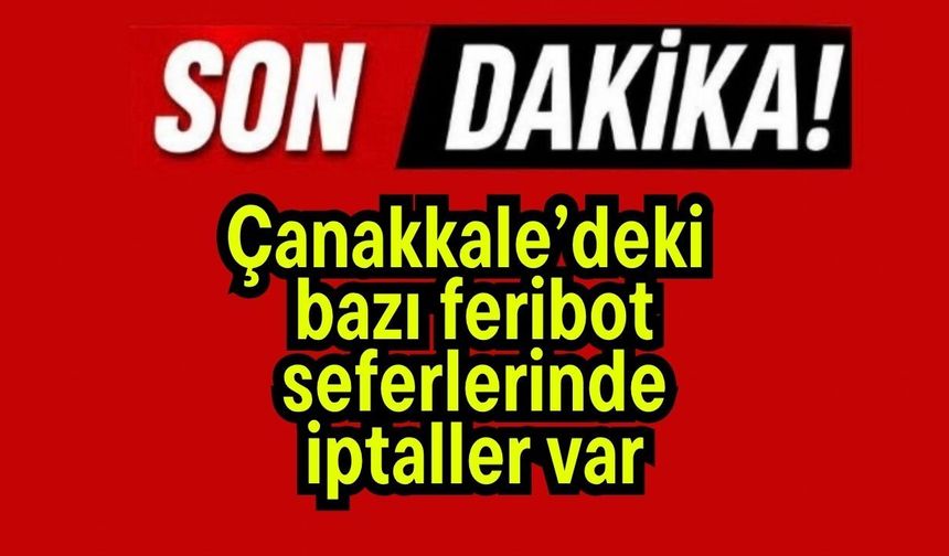 Çanakkale’deki bazı feribot seferlerinde iptaller var