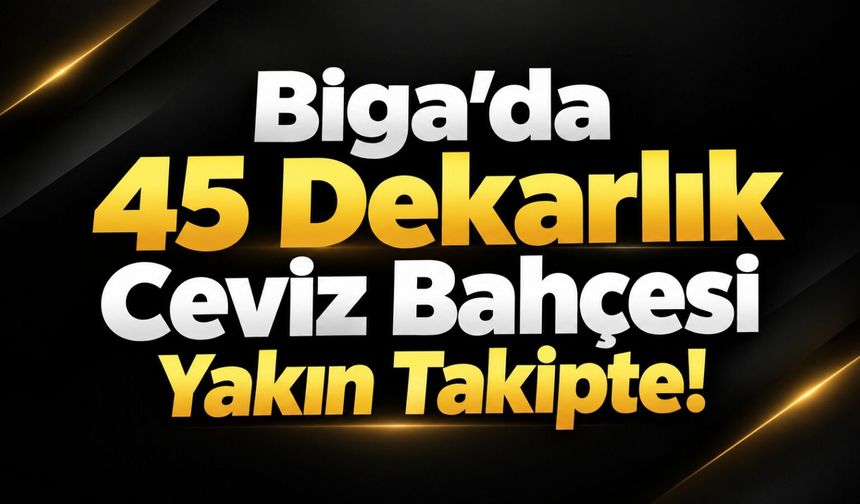 Biga’da 45 Dekarlık Ceviz Bahçesi Yakın Takipte!