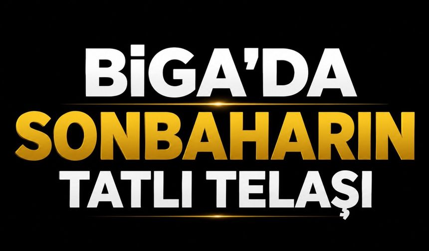 Biga’da sonbaharın tatlı telaşı