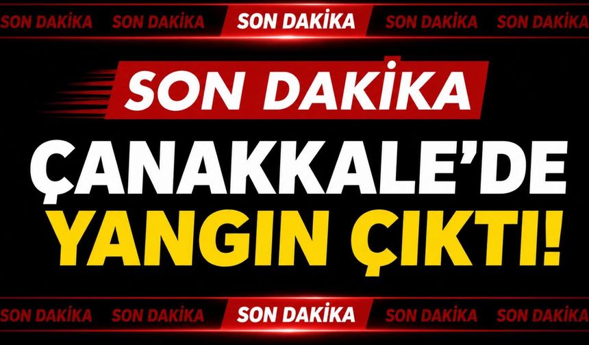 Son Dakika: Çanakkale’de yangın çıktı!