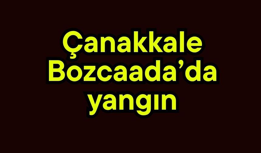 Çanakkale Bozcaada’da yangın