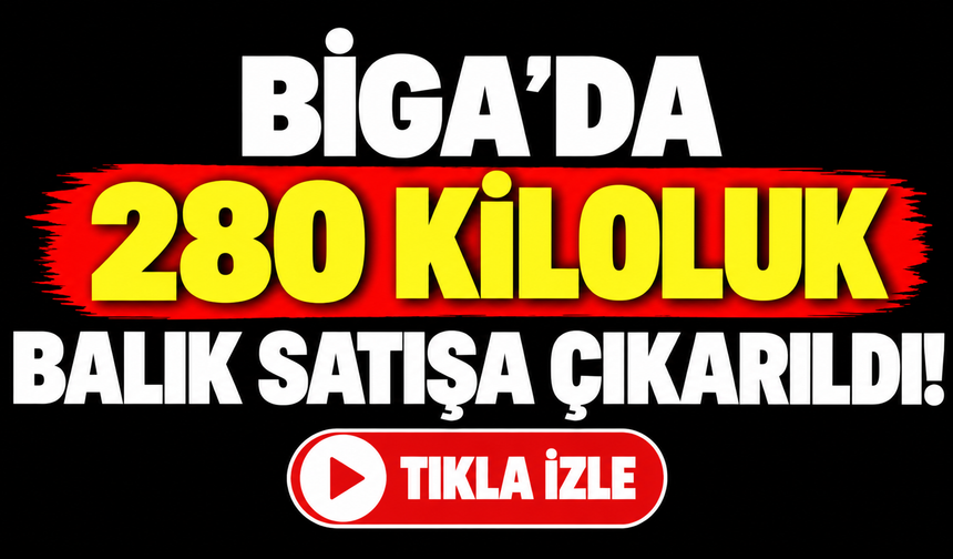Biga’da 280 kiloluk balık satışa çıkarıldı!