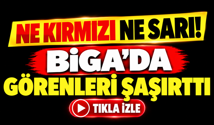 Ne kırmızı ne sarı! Biga’da görenleri şaşırttı