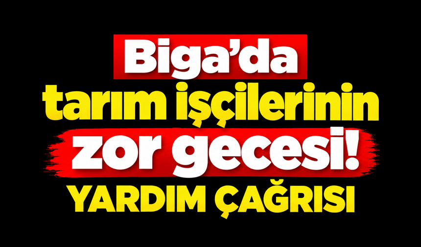 Biga’da tarım işçilerinin zor gecesi! Yardım çağrısı