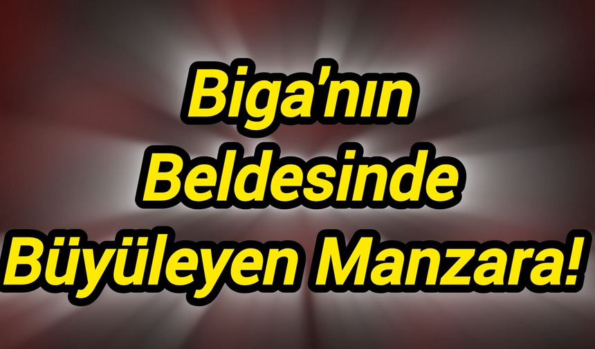 Biga'nın Beldesinde Büyüleyen Manzara!