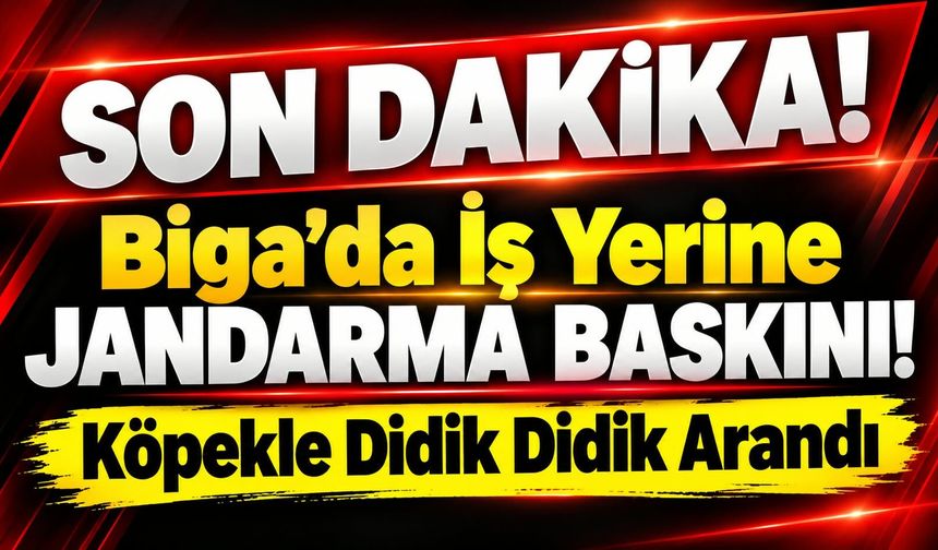 Biga’da İş Yerine Jandarma Baskını! Köpekle Didik Didik Arandı