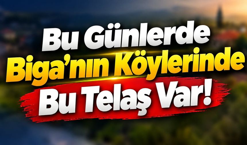 Bu Günlerde Biga’nın Köylerinde Bu Telaş Var!