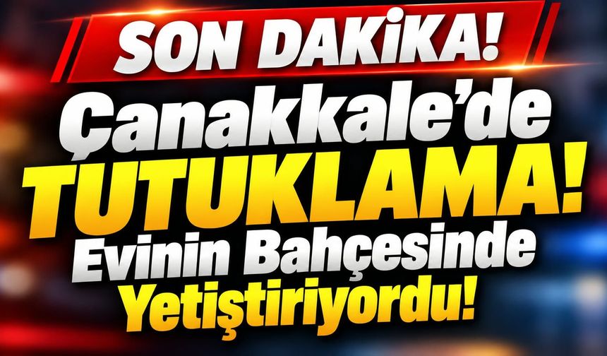 Çanakkale’de Tutuklama! Evinin Bahçesinde Yetiştiriyordu!