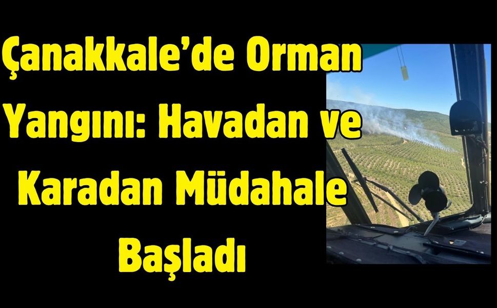 Çanakkale'de Orman Yangını