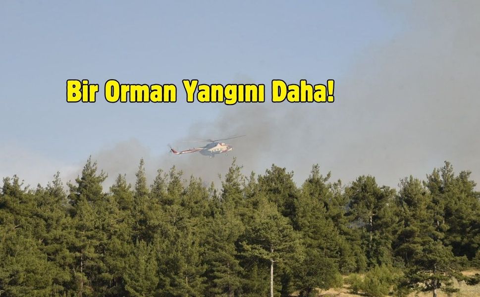 Balıkesir'de çıkan orman yangınına müdahale ediliyor