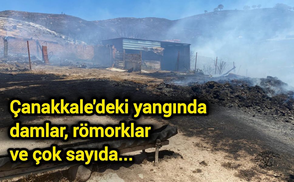 Çanakkale'deki yangında damlar, römorklar ve çok sayıda...