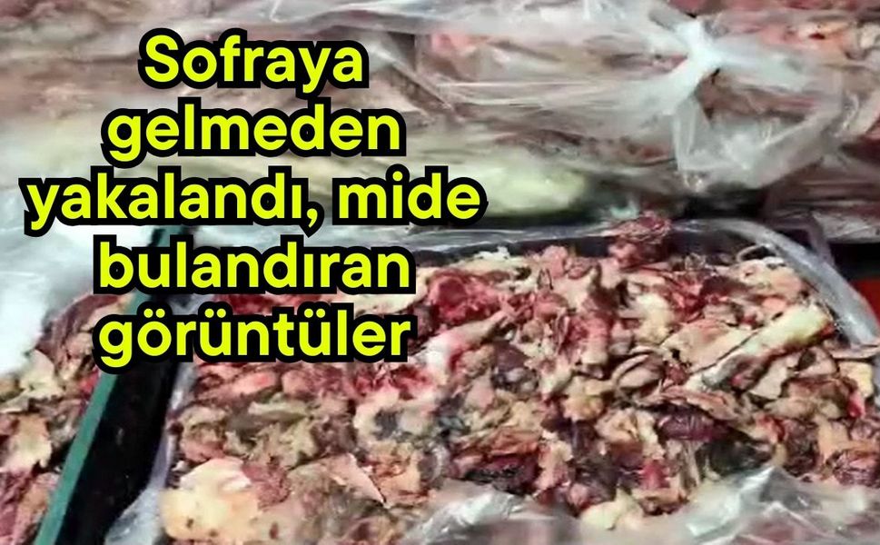 Sofraya gelmeden yakalandı, mide bulandıran görüntüler (Video)