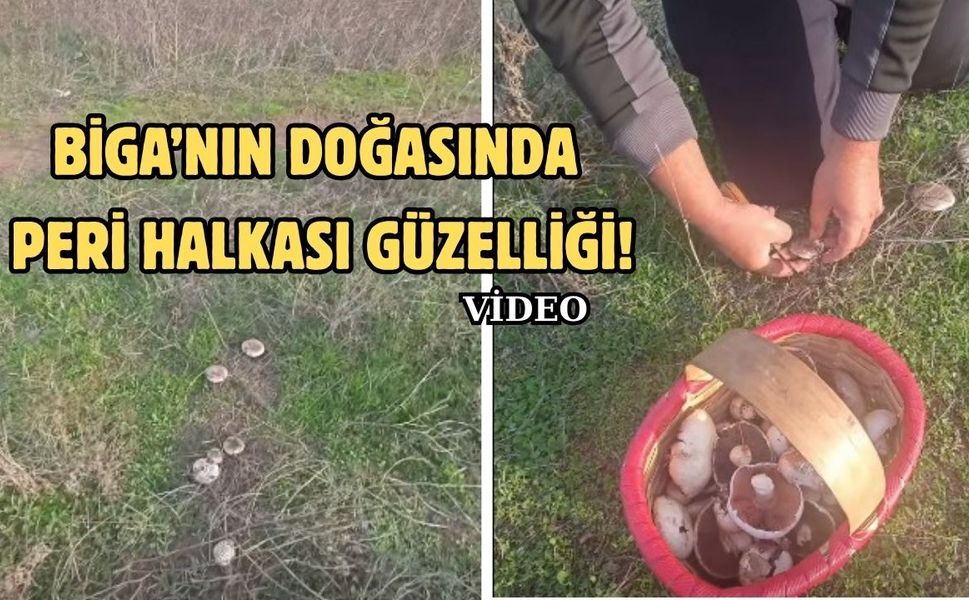 Biga’nın doğasında peri halkası güzelliği!