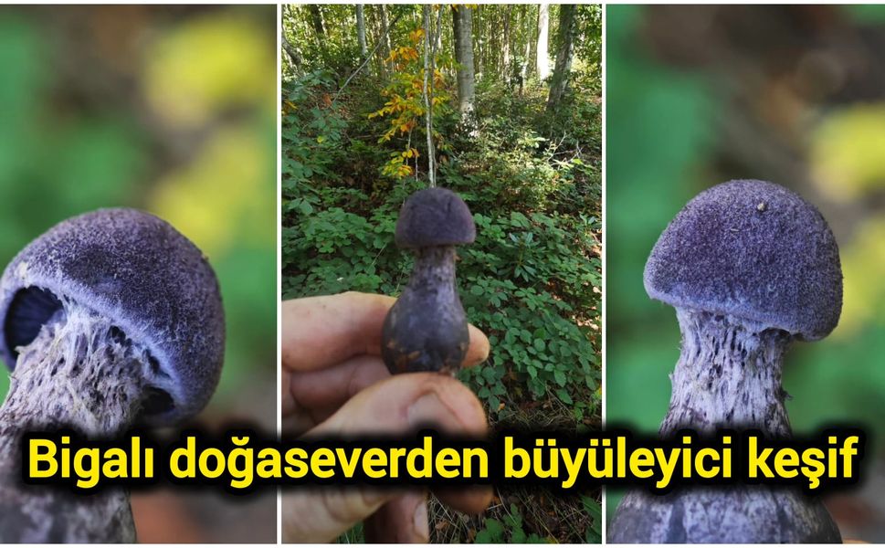 Bigalı doğaseverden büyüleyici keşif