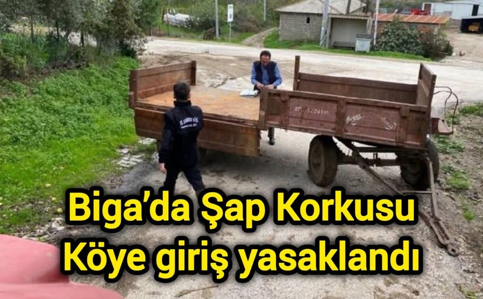 Biga’da Şap Korkusu: Köye giriş yasaklandı