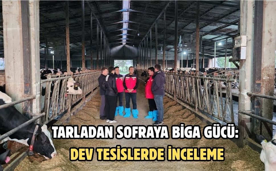 Tarladan sofraya Biga gücü: Dev tesislerde inceleme