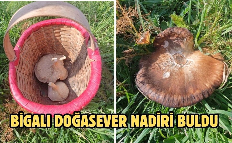 Bigalı doğasever nadiri buldu