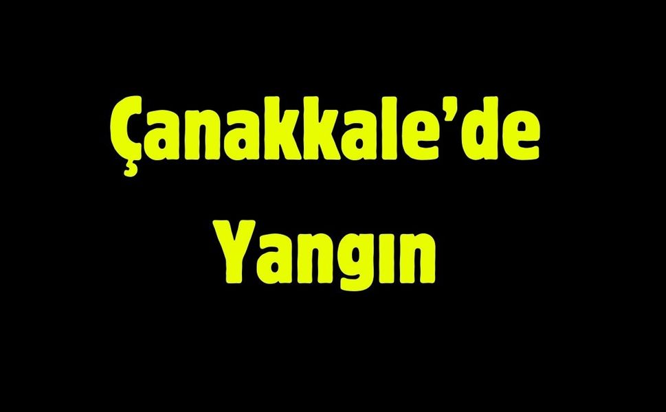 Çanakkale'de yangın