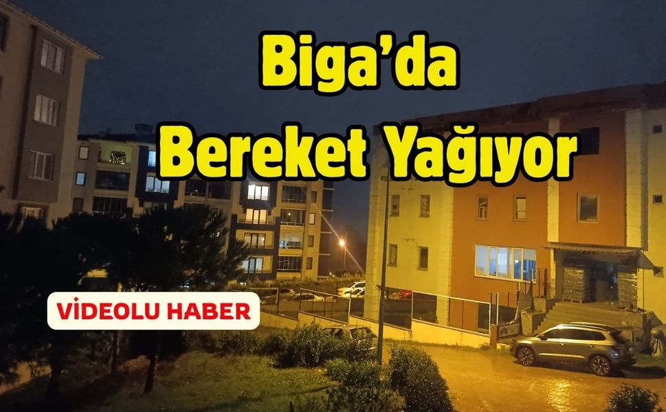 Biga’da Bereket Yağıyor: Yağışlar Çiftçinin Yüzünü Güldürdü