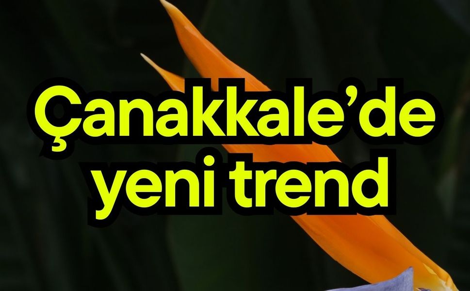 Çanakkale’de yeni trend