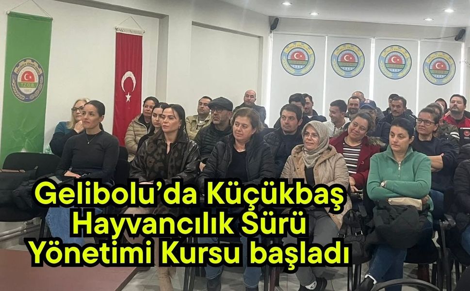 Gelibolu’da Küçükbaş Hayvancılık Sürü Yönetimi Kursu başladı