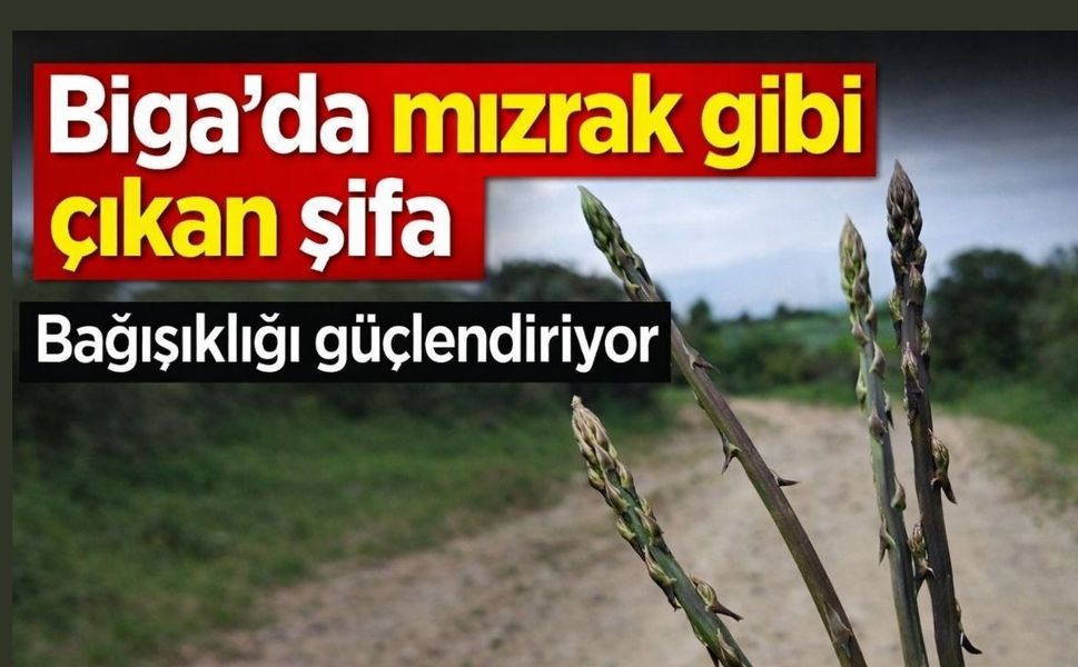Biga’da mızrak gibi çıkan şifa