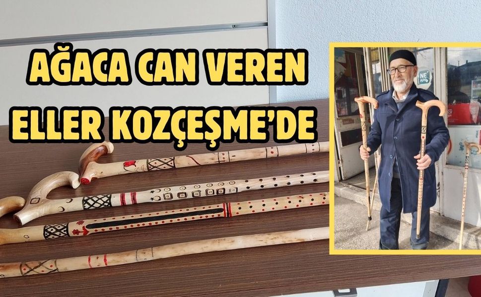 Ağaca can veren eller Kozçeşme’de