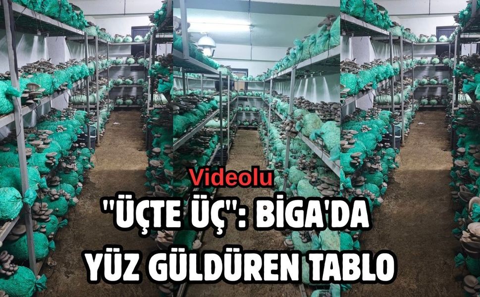 "Üçte Üç": Biga'da yüz güldüren tablo