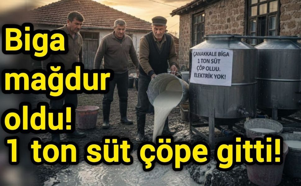 Çanakkale Biga mağdur oldu, 1 ton süt çöpe gitti