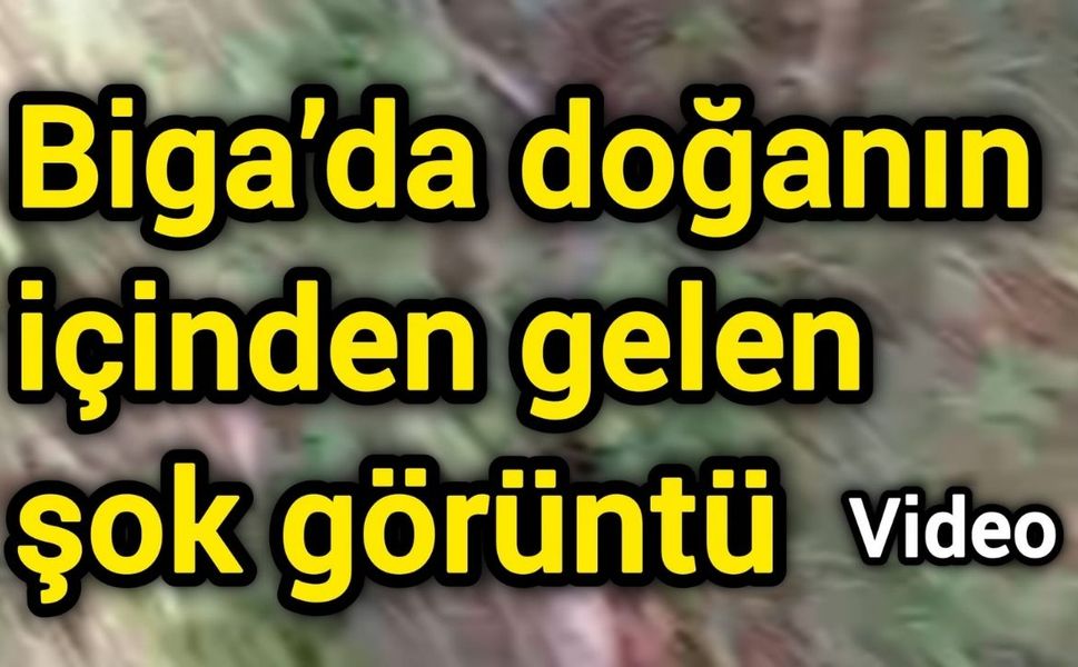 Biga’da doğanın içinden gelen şok görüntü