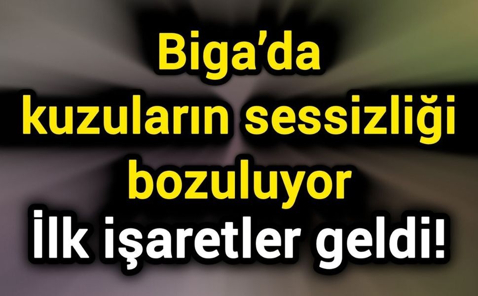 Biga’da kuzuların sessizliği bozuluyor: İlk işaretler geldi!