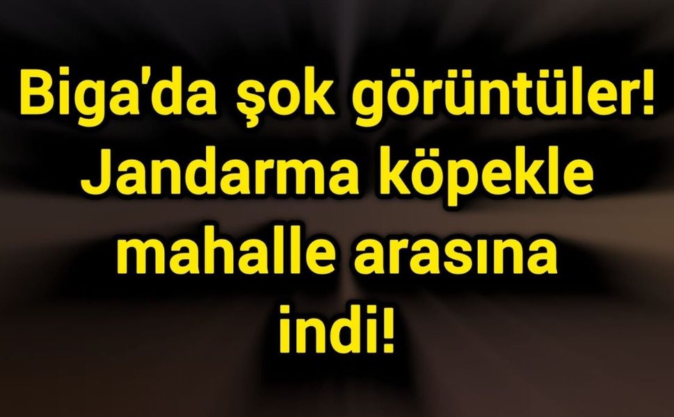 Biga'da şok görüntüler! Jandarma köpekle mahalle arasına indi!